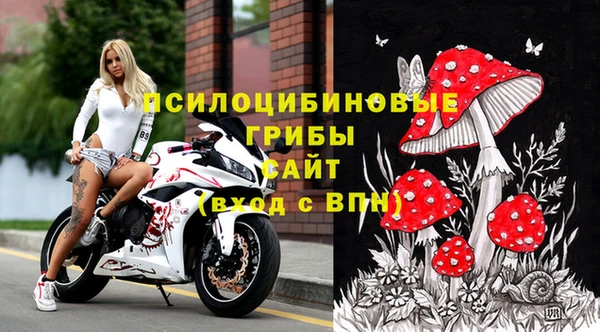 скорость Касимов
