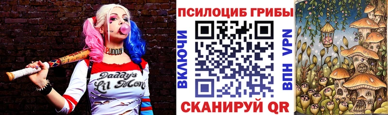 Псилоцибиновые грибы GOLDEN TEACHER  купить  сайты  Псков 