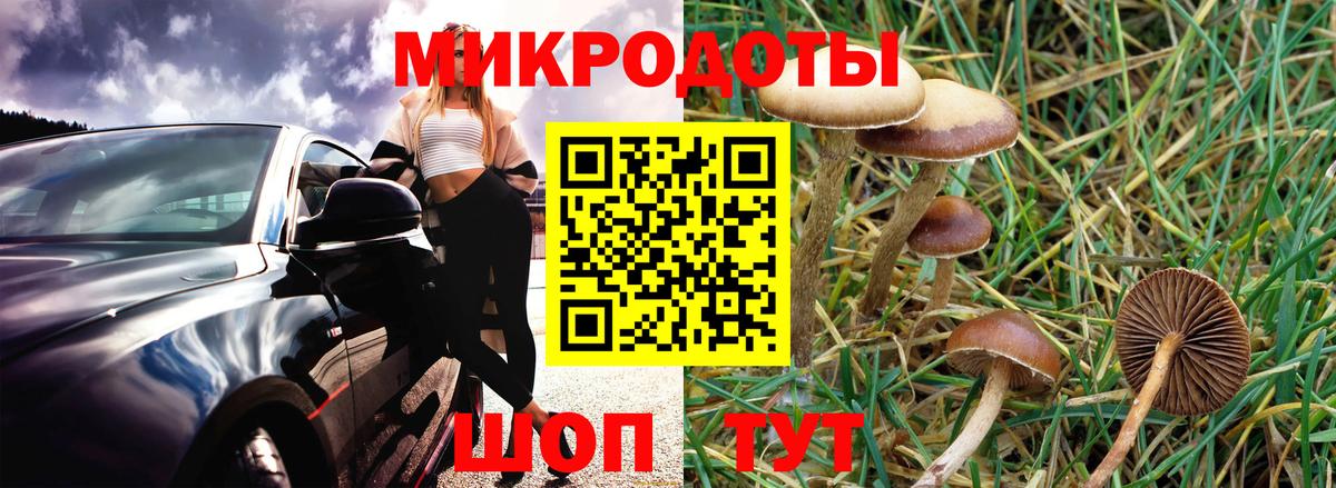 Псилоцибиновые грибы Psilocybe  наркотики  Псков  Вход с VPN 