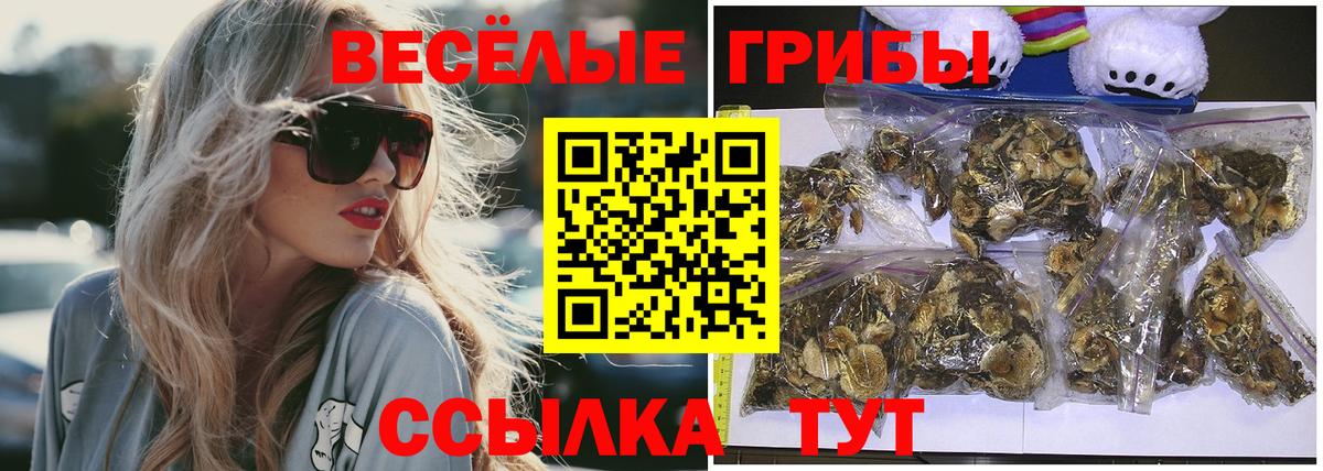 Галлюциногенные грибы GOLDEN TEACHER Псков